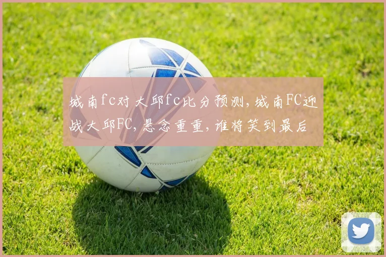 城南fc对大邱fc比分预测,城南FC迎战大邱FC,悬念重重,谁将笑到最后