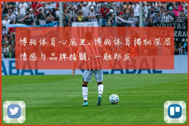 博狗体育心底里,博狗体育揭秘深层情感与品牌精髓,一触即发